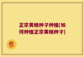 正宗黄精种子种植(如何种植正宗黄精种子)