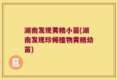 湖南发现黄精小苗(湖南发现珍稀植物黄精幼苗)