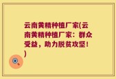 云南黄精种植厂家(云南黄精种植厂家：群众受益，助力脱贫攻坚！)
