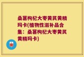 桑葚枸杞大枣黄芪黄精玛卡(植物性滋补品合集：桑葚枸杞大枣黄芪黄精玛卡)
