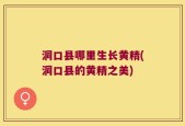 洞口县哪里生长黄精(洞口县的黄精之美)