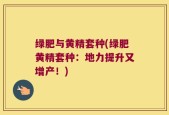 绿肥与黄精套种(绿肥黄精套种：地力提升又增产！)
