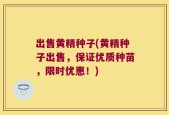 出售黄精种子(黄精种子出售，保证优质种苗，限时优惠！)