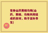 党参山药黄精乌梅(山药、黄精、乌梅共同组成的食材，助于滋补养生)