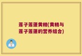 莲子莲蓬黄精(黄精与莲子莲蓬的营养组合)