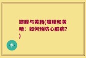瓣膜与黄精(瓣膜和黄精：如何预防心脏病？)