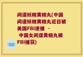 间谍妖精黄精丸(中国间谍妖精黄精丸近日被美国FBI逮捕  - 中国女间谍黄精丸被FBI捕获)