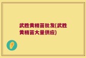 武胜黄精苗批发(武胜黄精苗大量供应)
