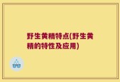 野生黄精特点(野生黄精的特性及应用)