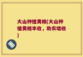 大山种植黄精(大山种植黄精丰收，助农增收)