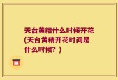 天台黄精什么时候开花(天台黄精开花时间是什么时候？)