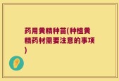 药用黄精种苗(种植黄精药材需要注意的事项)