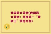 我国最大黄精(我国最大黄精：草原第一“黄精王”震撼亮相)