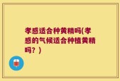 孝感适合种黄精吗(孝感的气候适合种植黄精吗？)