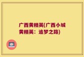 广西黄精英(广西小城黄精英：追梦之路)