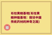 石柱黄精基地(石柱黄精种植基地：探访中国传统药材的神奇之路)