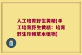人工培育野生黄精(手工培育野生黄精：培育野生珍稀草本植物)