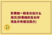 野黄精一般生长在什么地方(野黄精的生长环境及分布情况简介)