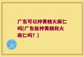 广东可以种黄精火麻仁吗(广东能种黄精和火麻仁吗？)