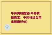 牛蒡黄精鹿宝(牛蒡黄精鹿宝：中药材组合带来健康好处)
