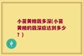 小苗黄精栽多深(小苗黄精的栽深应达到多少？)
