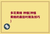 多花黄精 种植(种植黄精的最佳时期及技巧)
