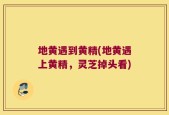 地黄遇到黄精(地黄遇上黄精，灵芝掉头看)