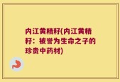内江黄精籽(内江黄精籽：被誉为生命之子的珍贵中药材)