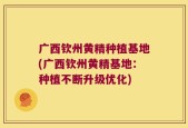 广西钦州黄精种植基地(广西钦州黄精基地：种植不断升级优化)