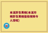 本溪野生黄精(本溪珍稀野生黄精偷拍视频令人惊叹)