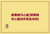 制黄精与心脏(制黄精对心脏的作用及功效)