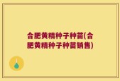 合肥黄精种子种苗(合肥黄精种子种苗销售)