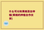什么可以和黄精混合种植(黄精的种植合作伙伴)