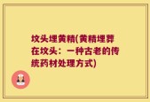坟头埋黄精(黄精埋葬在坟头：一种古老的传统药材处理方式)