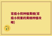 家庭小院种植黄精(家庭小院里的黄精种植攻略)