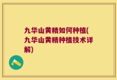 九华山黄精如何种植(九华山黄精种植技术详解)