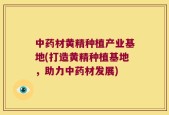 中药材黄精种植产业基地(打造黄精种植基地，助力中药材发展)