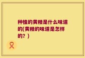 种植的黄精是什么味道的(黄精的味道是怎样的？)