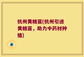 杭州黄精苗(杭州引进黄精苗，助力中药材种植)