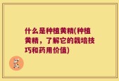 什么是种植黄精(种植黄精，了解它的栽培技巧和药用价值)