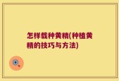 怎样载种黄精(种植黄精的技巧与方法)