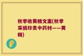 秋季收黄精文案(秋季采摘珍贵中药材——黄精)