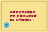 药黄精和盆景黄精是一种么(药黄精与盆景黄精：同种植物吗？)