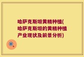 哈萨克斯坦黄精种植(哈萨克斯坦的黄精种植产业现状及前景分析)