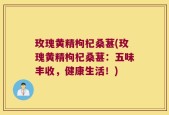 玫瑰黄精枸杞桑葚(玫瑰黄精枸杞桑葚：五味丰收，健康生活！)