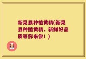 新晃县种植黄精(新晃县种植黄精，新鲜好品质等你来尝！)