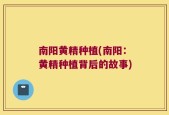 南阳黄精种植(南阳：黄精种植背后的故事)
