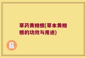 草药黄精根(草本黄精根的功效与用途)