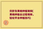 仿野生黄精种植视频(黄精种植全过程视频，轻松学会种植技巧)