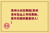 贵州小伙挖黄精(贵州青年在山上寻找黄精，意外挖掘到重量惊人！)